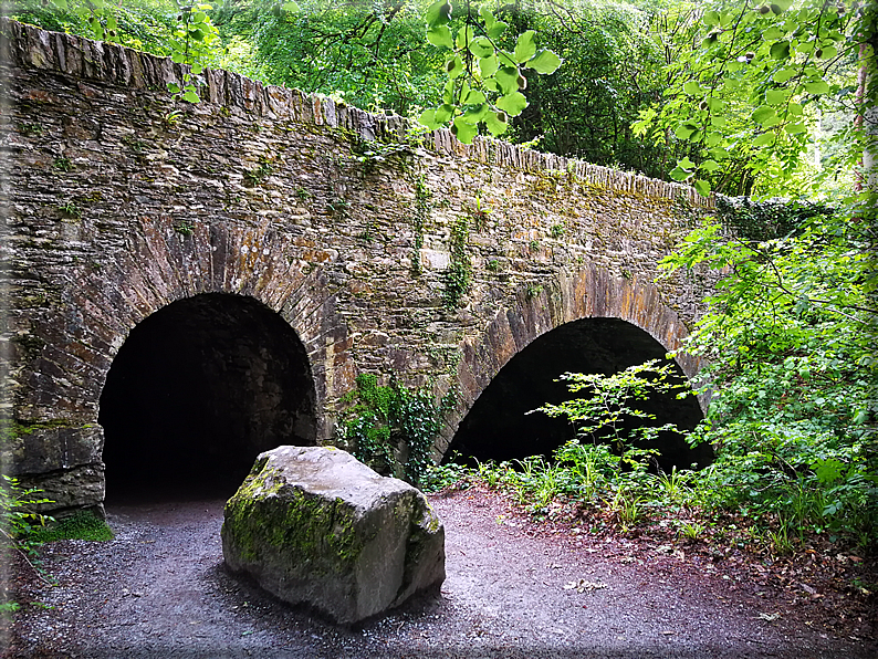 foto Parco di Killarney